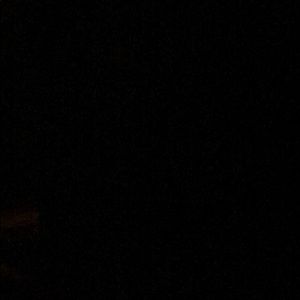 Meet your Posher, Frankie